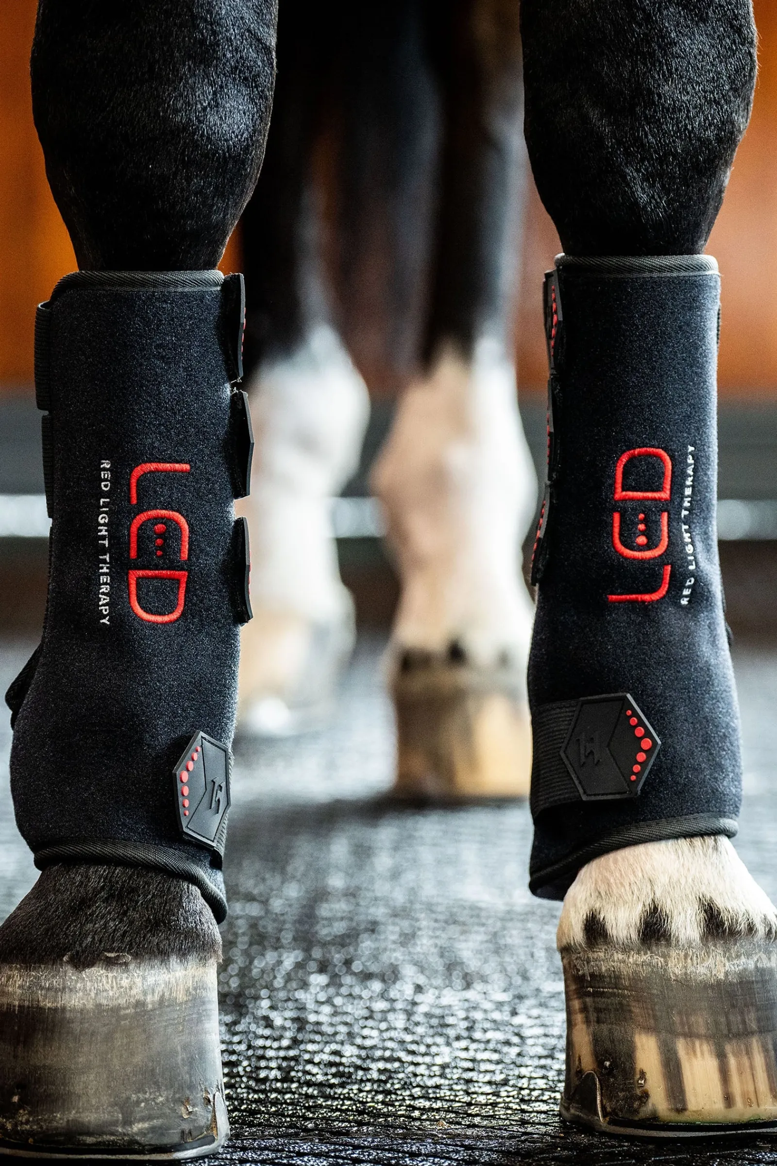 Horseware LED Rotlicht Therapie Gamasche (1 Stk.)* Therapie- & Kühlgamaschen