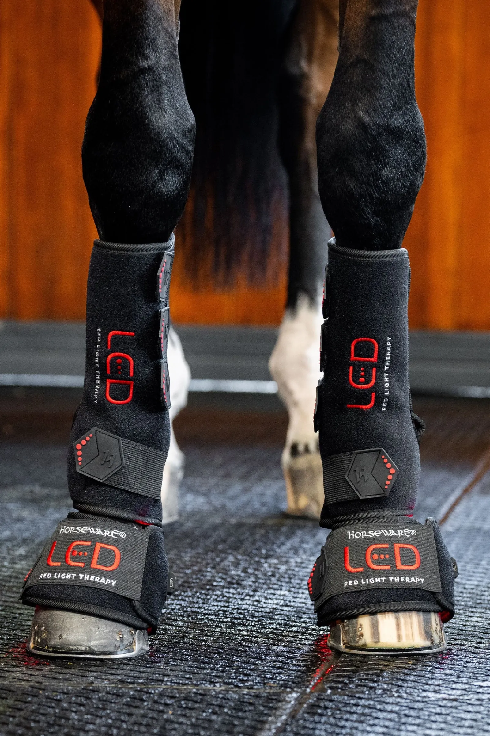 Horseware LED Rotlicht Therapie Gamasche (1 Stk.)* Therapie- & Kühlgamaschen