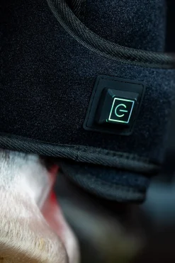 Horseware LED Rotlicht Therapie Gamasche (1 Stk.)* Therapie- & Kühlgamaschen