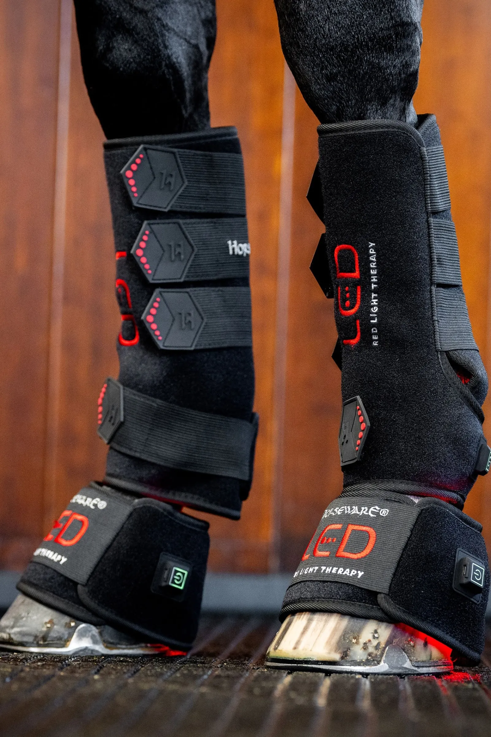 Horseware LED Rotlicht Therapie Gamasche (1 Stk.)* Therapie- & Kühlgamaschen
