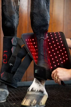Horseware LED Rotlicht Therapie Gamasche (1 Stk.)* Therapie- & Kühlgamaschen