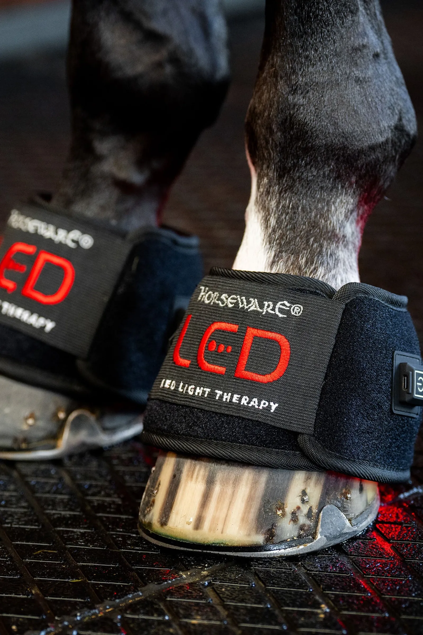 Horseware LED Rotlicht Therapie Mini-Gamasche (1 Stk.)* Therapie- & Kühlgamaschen