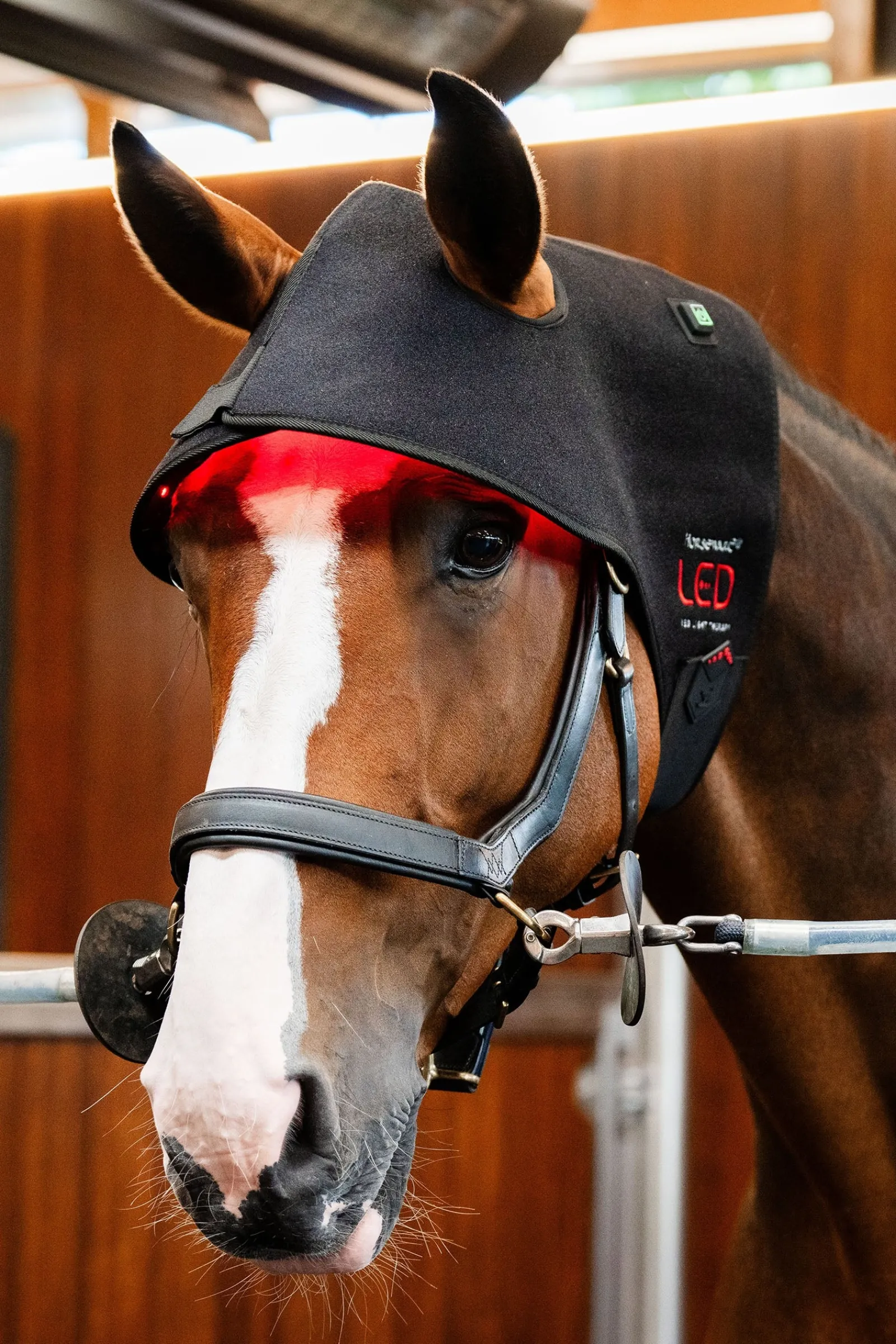 Horseware LED Rotlicht-Therapie Genickhaube* Therapie-Decken|Therapie-Decken