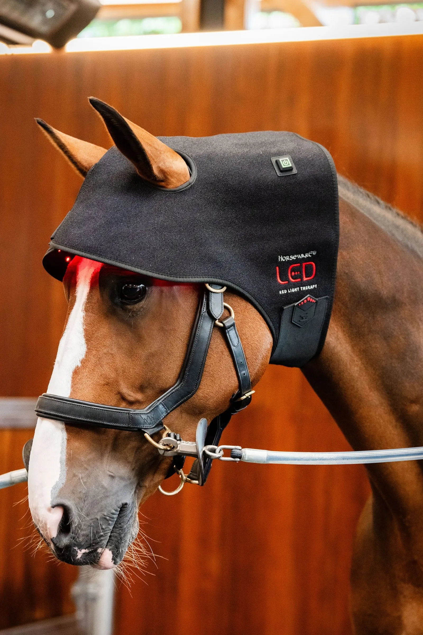 Horseware LED Rotlicht-Therapie Genickhaube* Therapie-Decken|Therapie-Decken