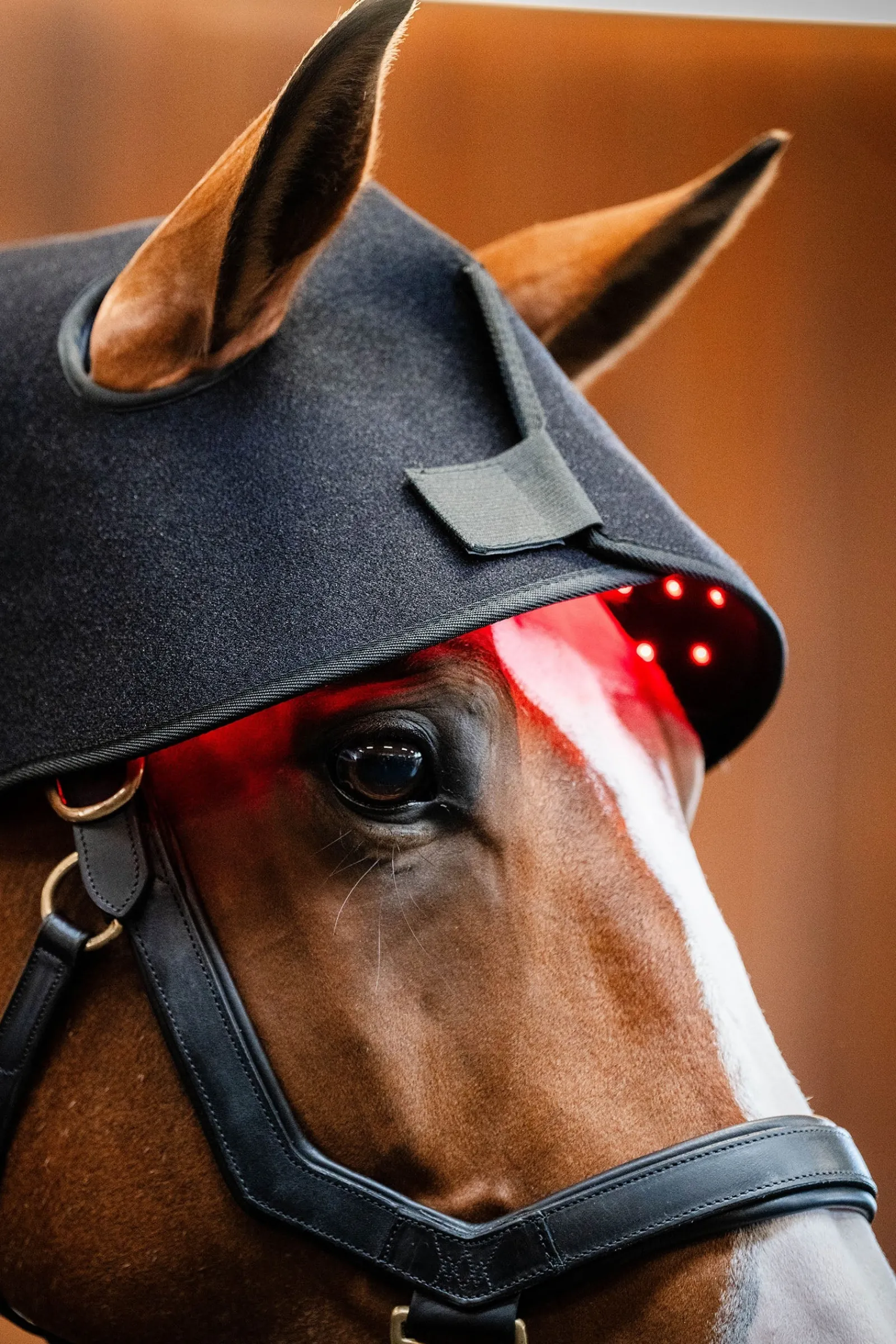 Horseware LED Rotlicht-Therapie Genickhaube* Therapie-Decken|Therapie-Decken
