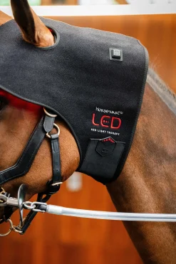 Horseware LED Rotlicht-Therapie Genickhaube* Therapie-Decken|Therapie-Decken
