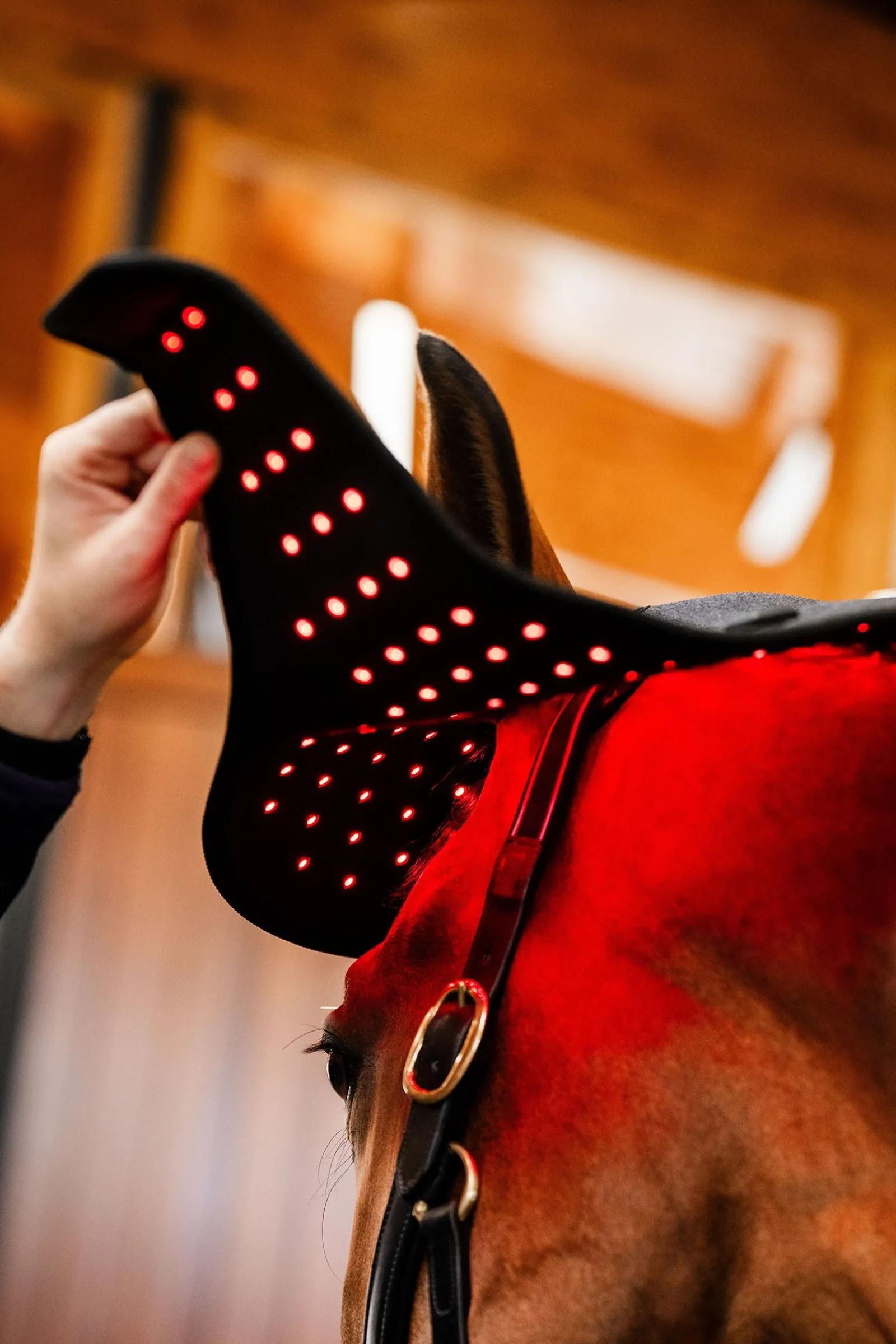 Horseware LED Rotlicht-Therapie Genickhaube* Therapie-Decken|Therapie-Decken