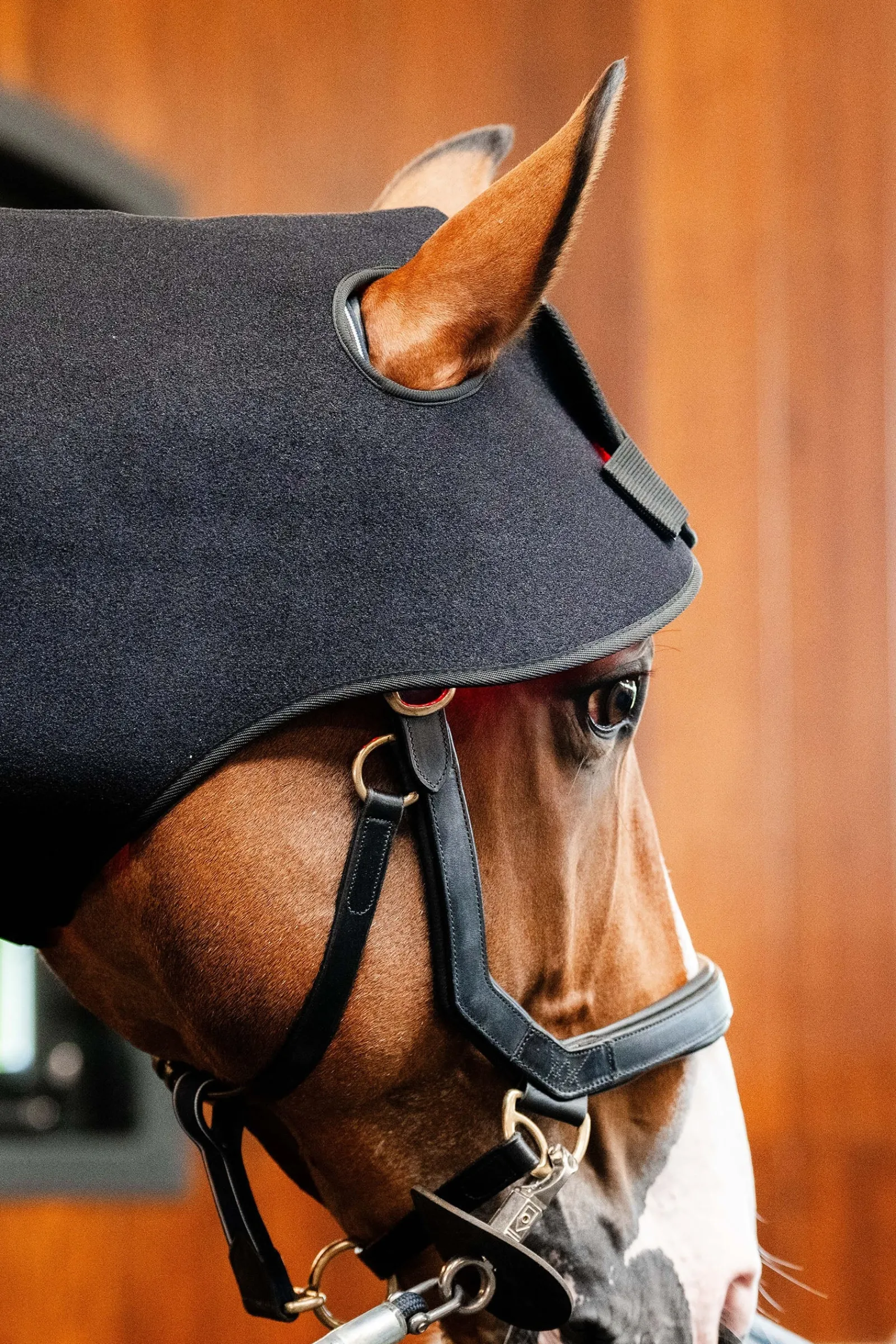 Horseware LED Rotlicht-Therapie Genickhaube* Therapie-Decken|Therapie-Decken