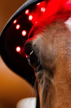 Horseware LED Rotlicht-Therapie Genickhaube* Therapie-Decken|Therapie-Decken