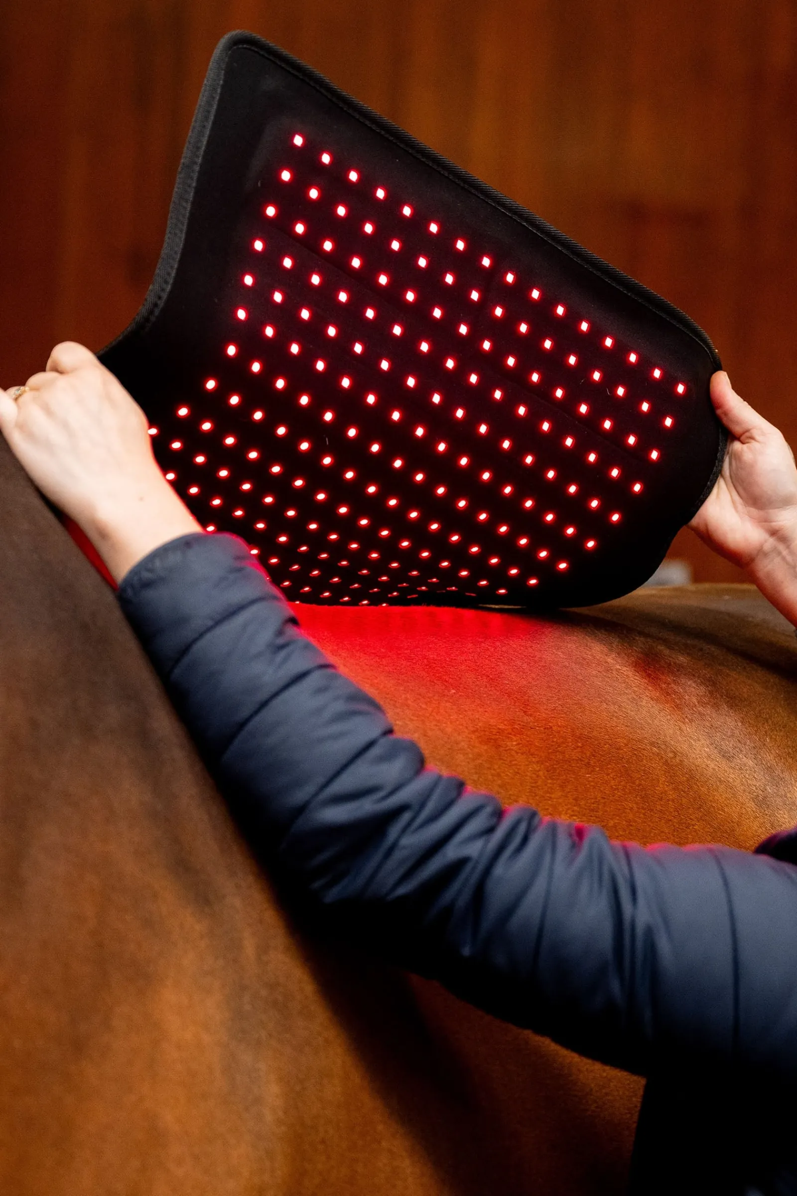 Horseware LED Rotlicht-Therapie Pad* Therapie-Decken|Therapie-Decken