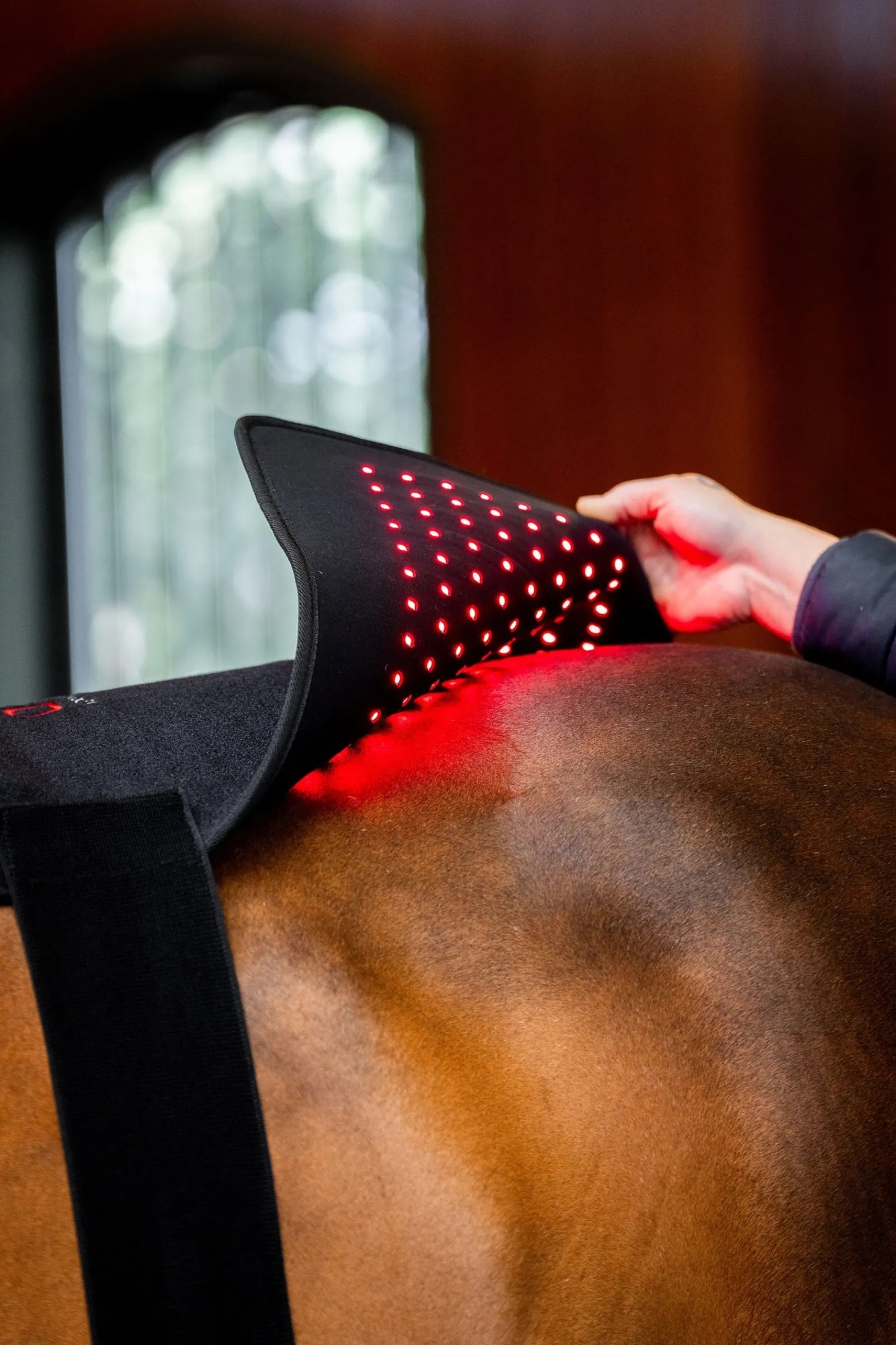 Horseware LED Rotlicht-Therapie Pad* Therapie-Decken|Therapie-Decken