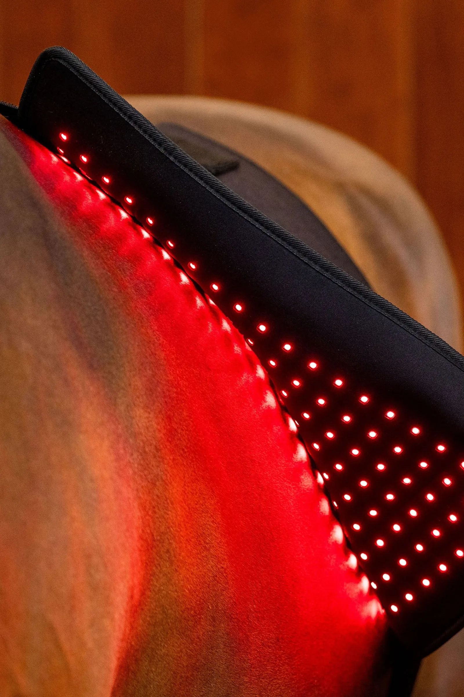 Horseware LED Rotlicht-Therapie Pad* Therapie-Decken|Therapie-Decken