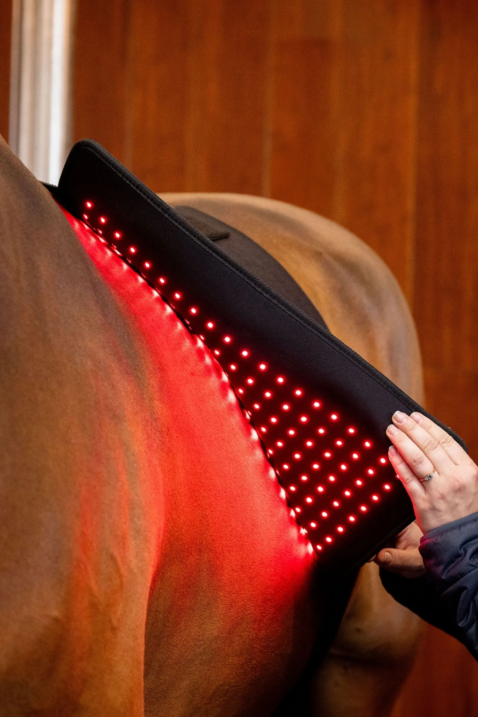 Horseware LED Rotlicht-Therapie Pad* Therapie-Decken|Therapie-Decken
