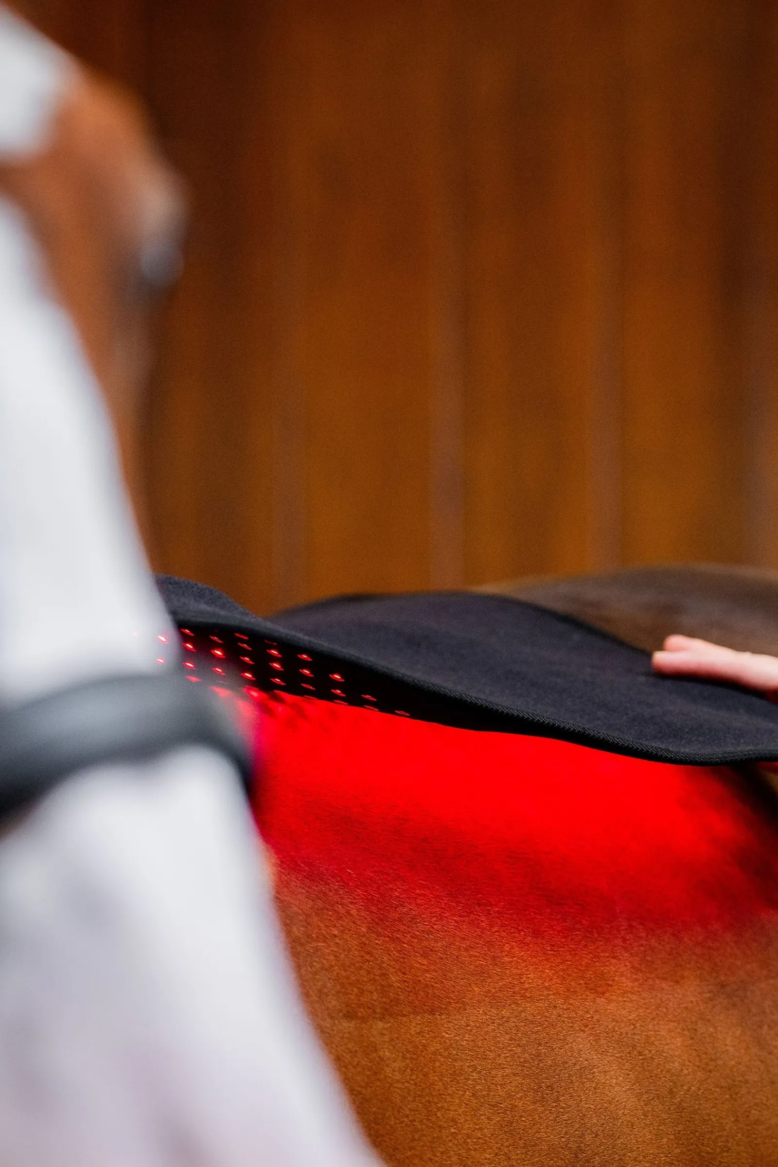 Horseware LED Rotlicht-Therapie Pad* Therapie-Decken|Therapie-Decken