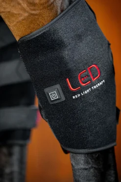 Horseware LED Rotlicht-Therapie Sprunggelenksgamasche (1 Stk.)* Therapie- & Kühlgamaschen