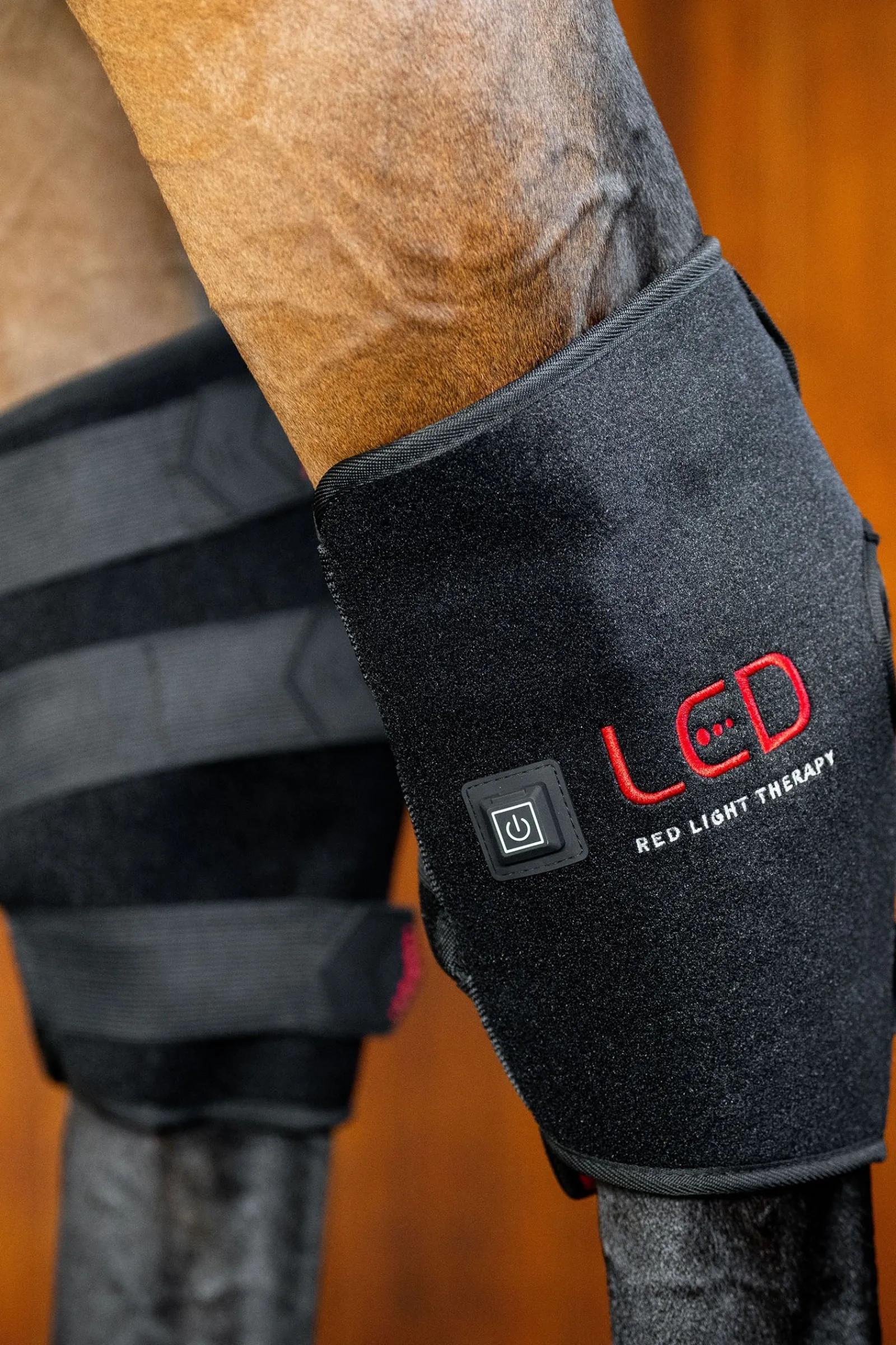 Horseware LED Rotlicht-Therapie Sprunggelenksgamasche (1 Stk.)* Therapie- & Kühlgamaschen