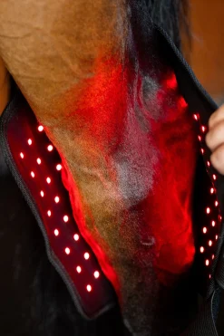 Horseware LED Rotlicht-Therapie Sprunggelenksgamasche (1 Stk.)* Therapie- & Kühlgamaschen