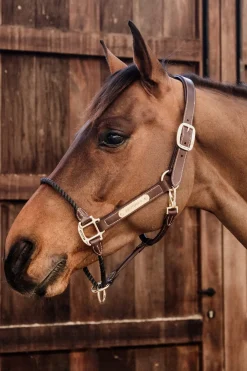Kentucky Horsewear Leder Knotenhalfter* Lederhalfter