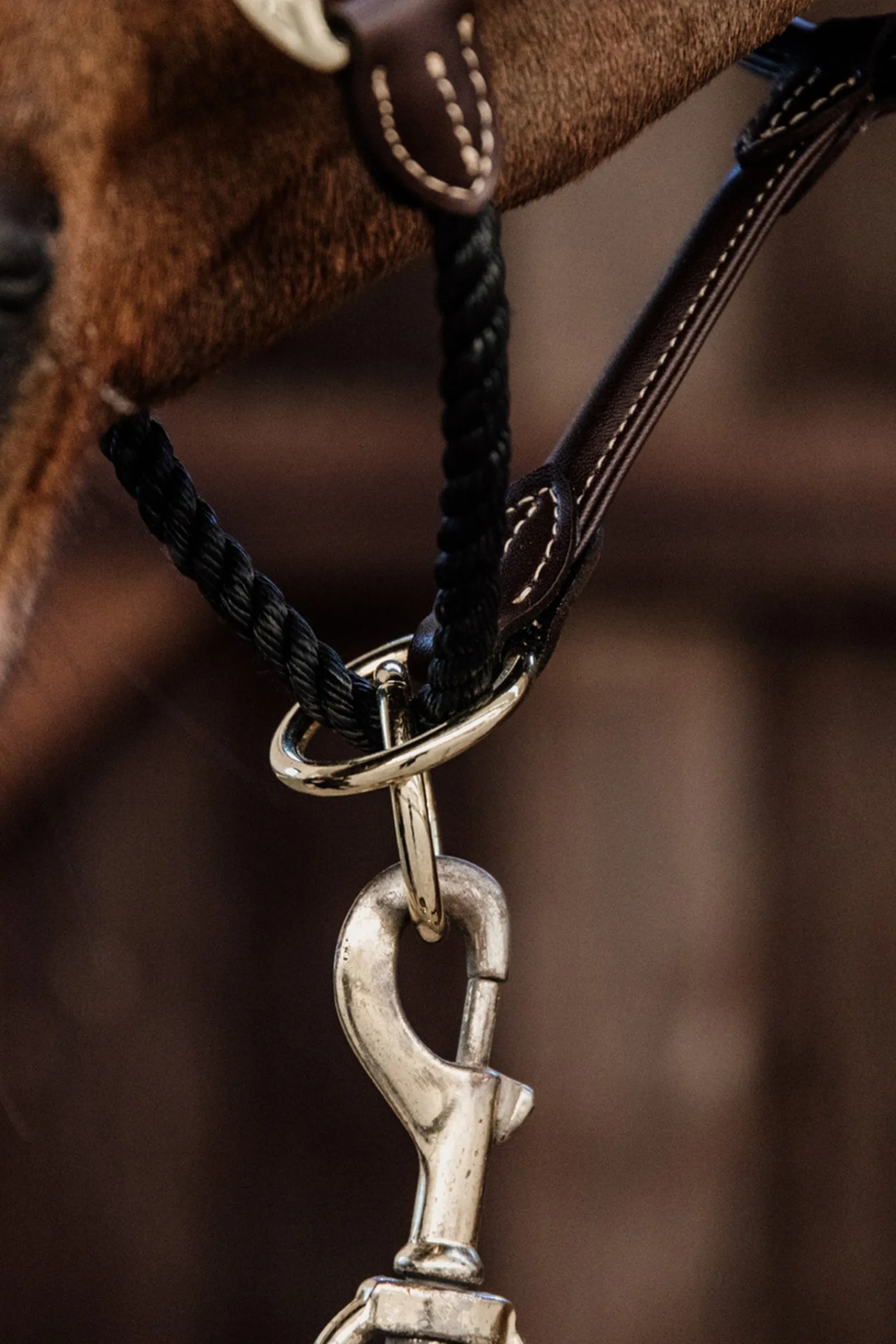 Kentucky Horsewear Leder Knotenhalfter* Lederhalfter