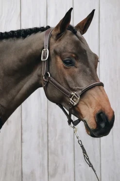 Kentucky Horsewear Lederhalfter Anatomic* Lederhalfter