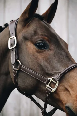 Kentucky Horsewear Lederhalfter Anatomic* Lederhalfter