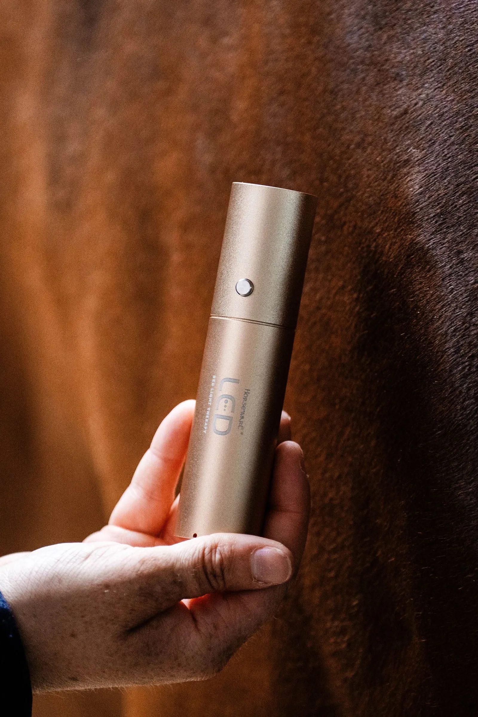 Horseware LED-Rotlicht-Therapie Stab* Therapie-Decken|Therapie-Decken