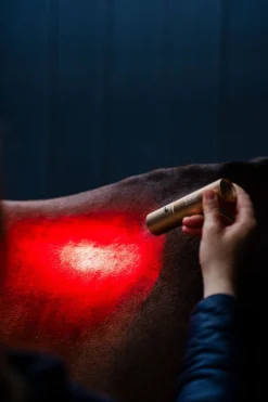 Horseware LED-Rotlicht-Therapie Stab* Therapie-Decken|Therapie-Decken