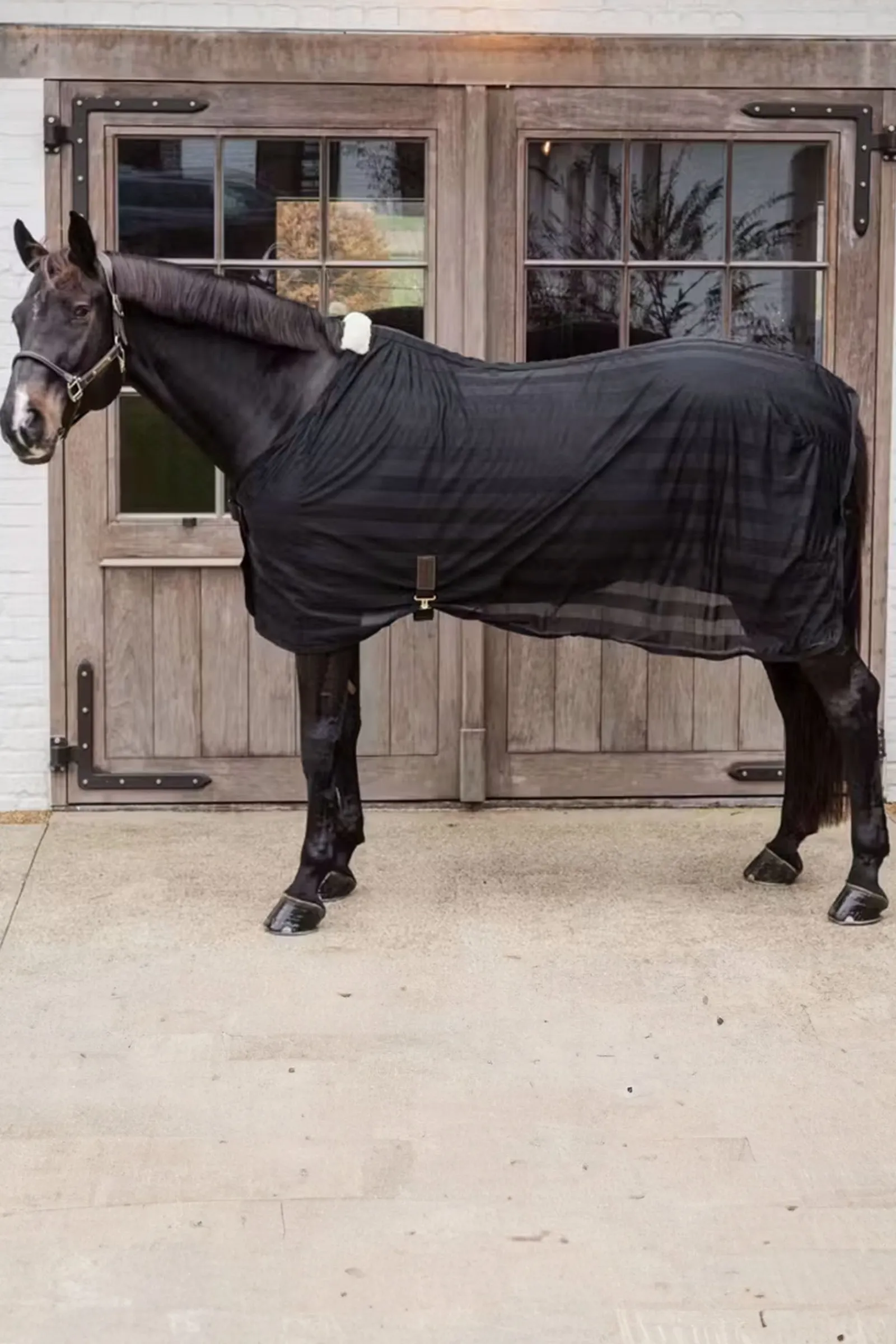 Kentucky Horsewear leichte gestreifte Fliegendecke aus Mesh* Fliegendecken