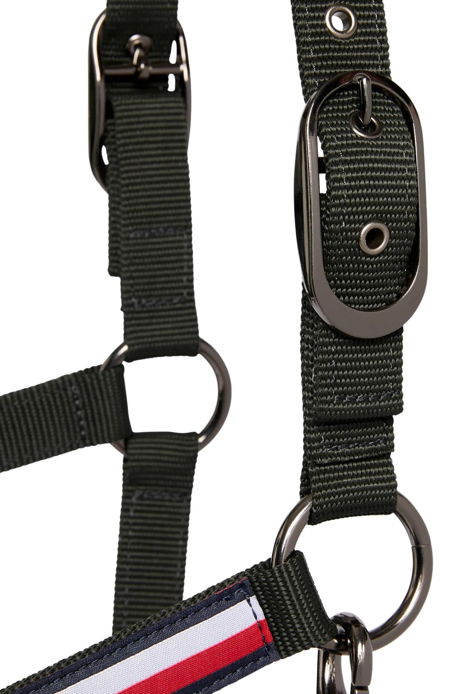 Tommy Hilfiger Equestrian Lincoln Halfter* Halfter