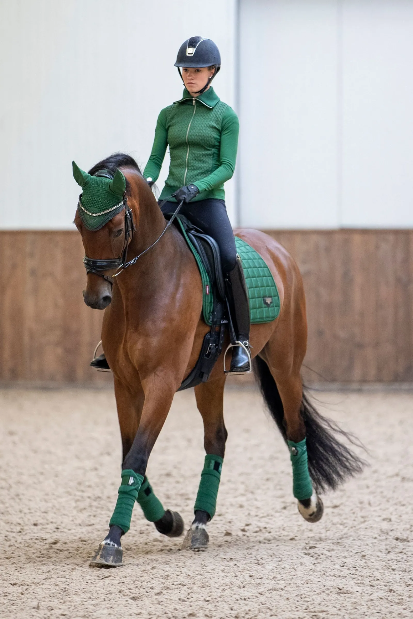 LeMieux Loire Classic Dressurschabracke* Dressurschabracken