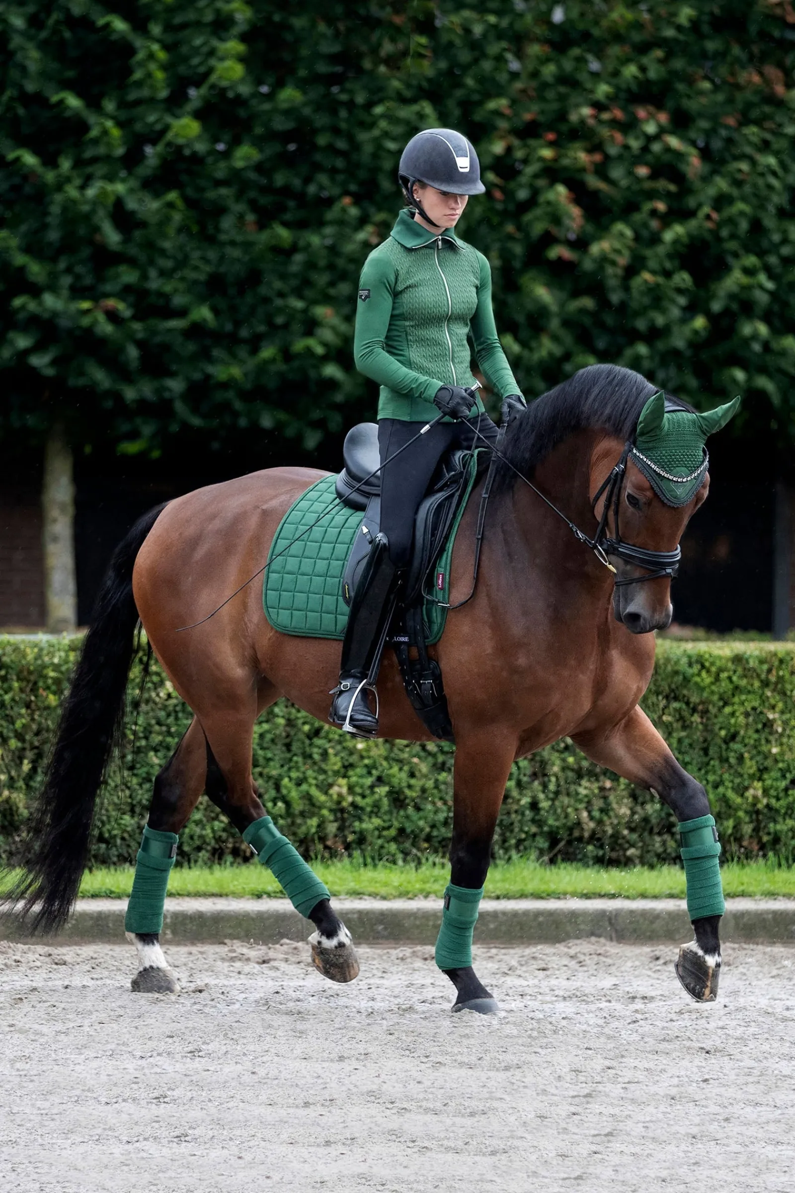LeMieux Loire Classic Dressurschabracke* Dressurschabracken