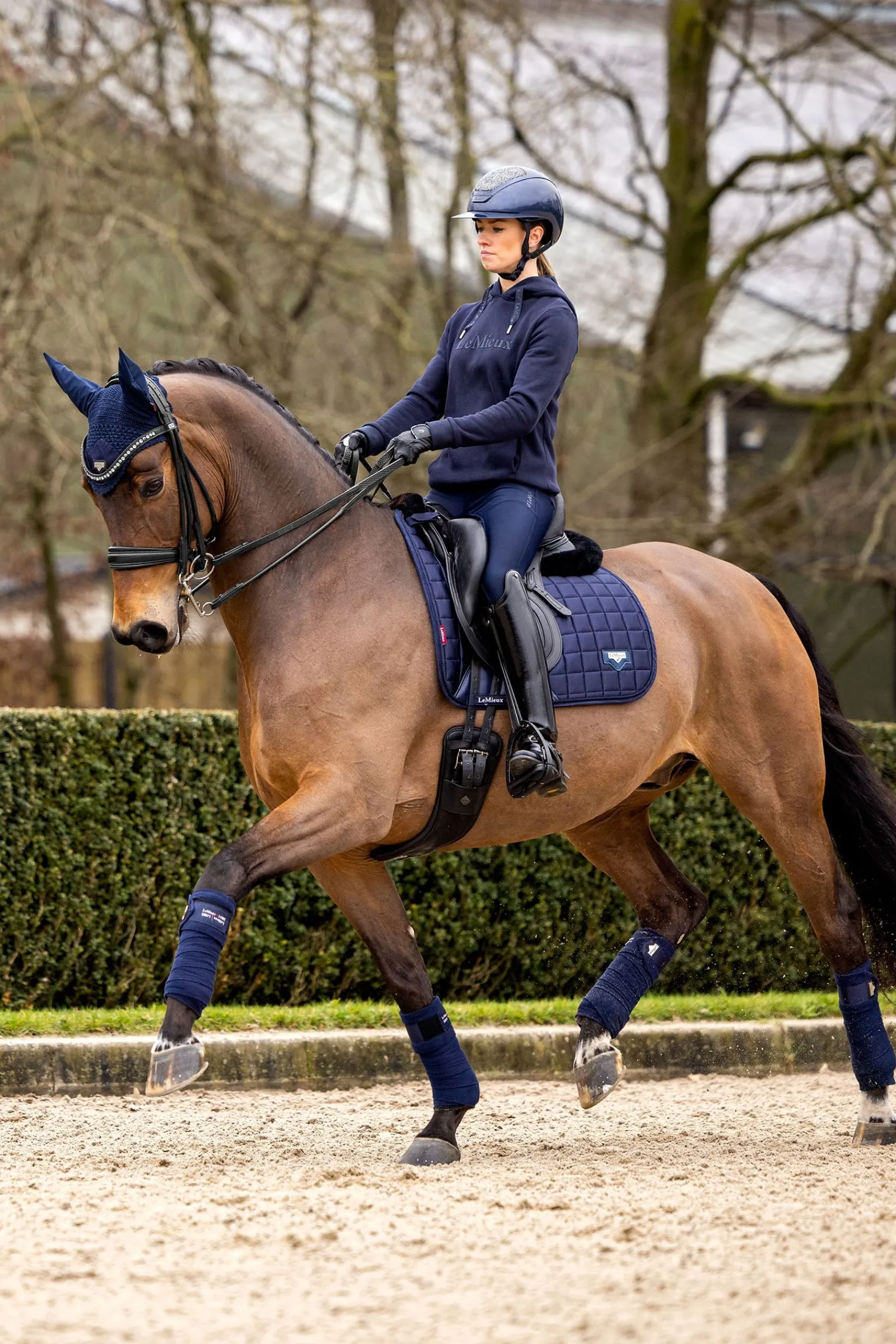 LeMieux Loire Classic Dressurschabracke* Dressurschabracken
