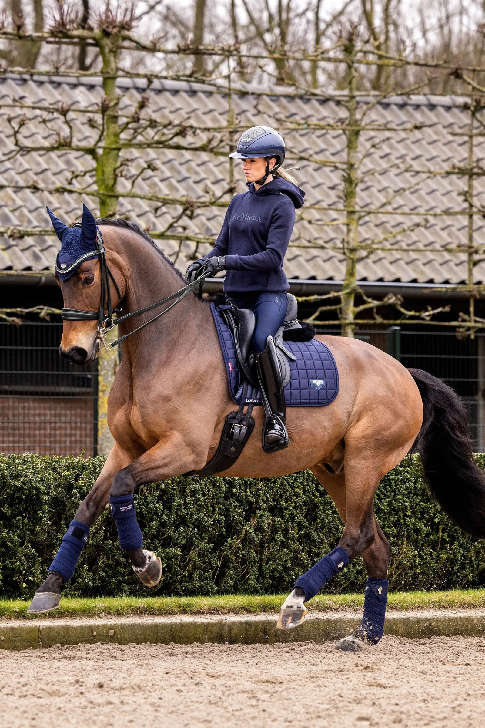 LeMieux Loire Classic Dressurschabracke* Dressurschabracken