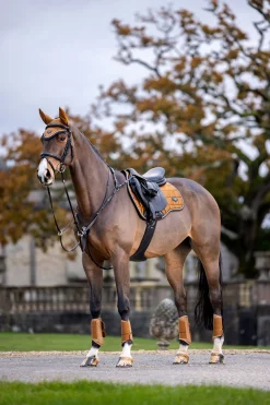 LeMieux Loire Classic Square Vielseitigkeitsschabracke* Spring- & Vielseitigkeitsschabracken