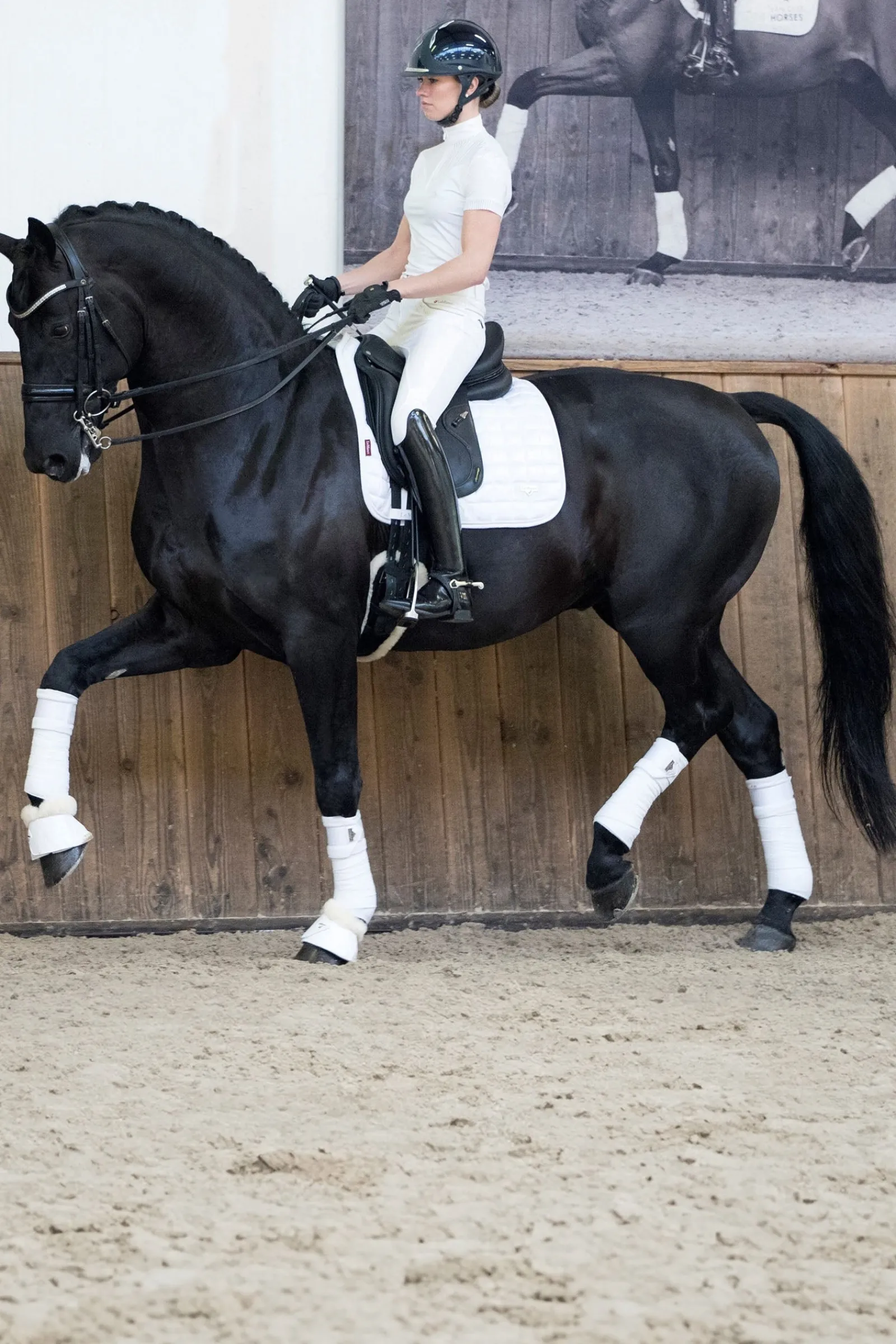 LeMieux Loire Dressurschabracke* Dressurschabracken