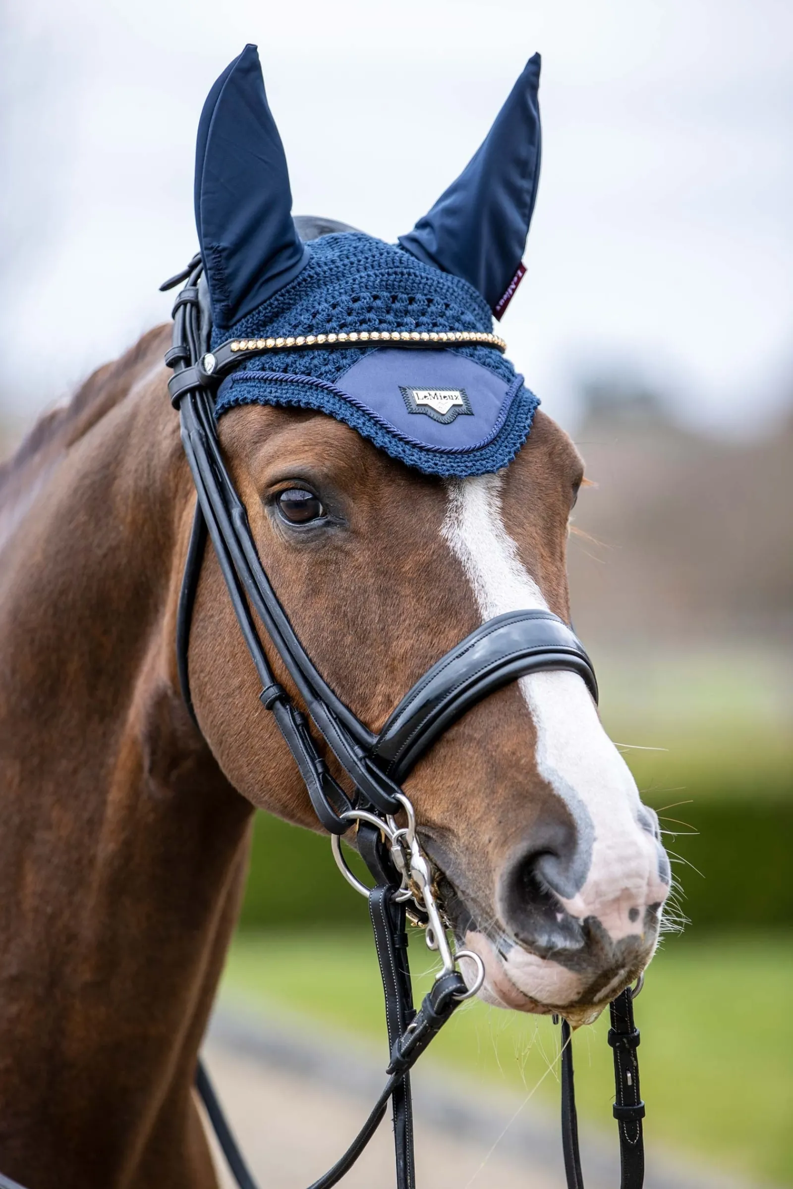 LeMieux Loire Fliegenhaube* Ohrenhauben|Ohrenhauben