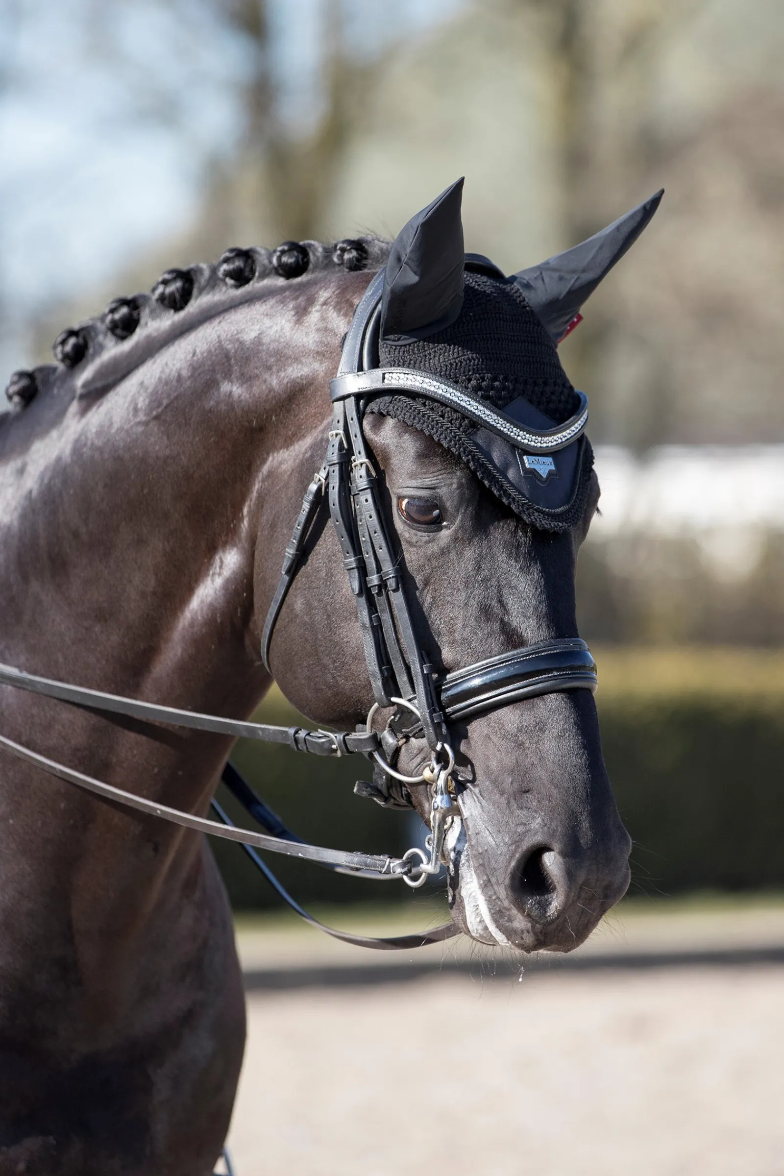 LeMieux Loire Fliegenhaube* Ohrenhauben|Ohrenhauben