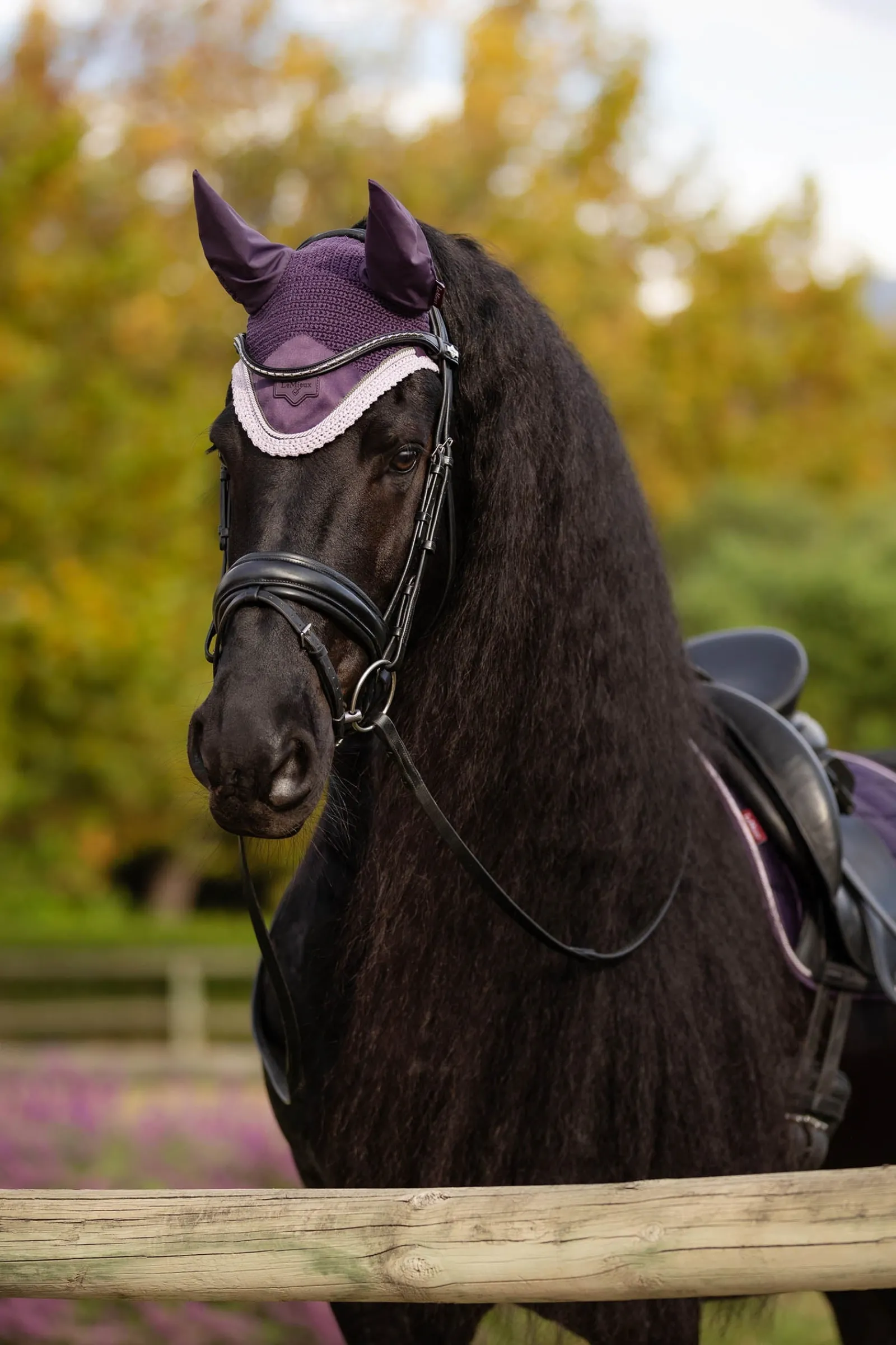 LeMieux Loire Fliegenhaube* Ohrenhauben|Ohrenhauben