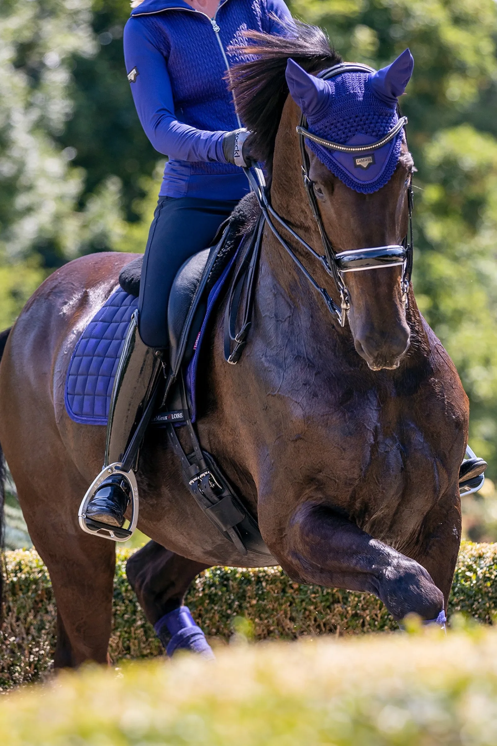 LeMieux Loire Satin Fliegenhaube* Ohrenhauben|Ohrenhauben