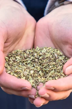 Stiefel Magenkräuter, 1kg* Ergänzungsfuttermittel Für Pferde