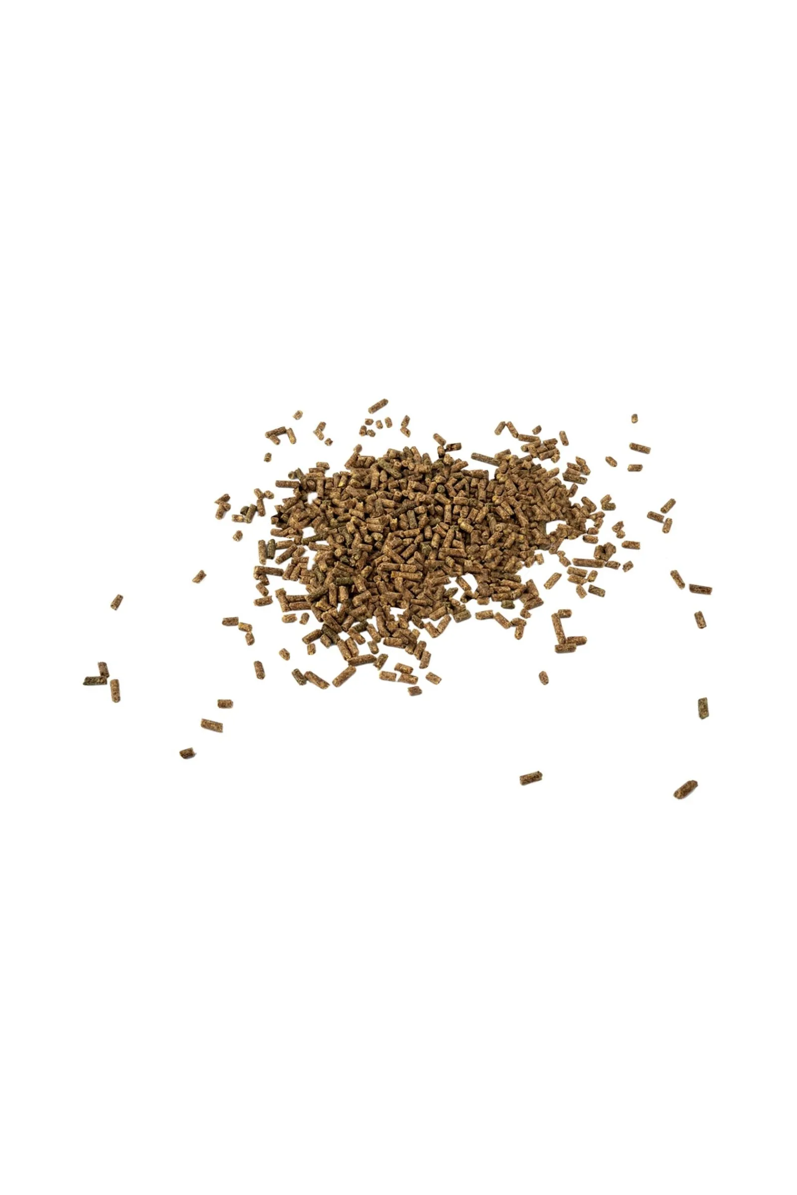 Waldhausen Magnesium forte - Für mehr Ausgeglichenheit, 1kg* Ergänzungsfuttermittel Für Pferde