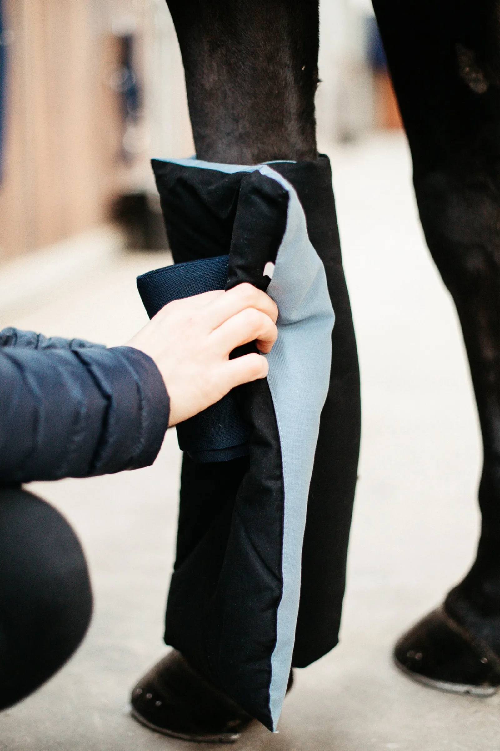 Kentucky Horsewear Magnetic Bandagierunterlagen Recuptex* Bandagen & Gamaschen
