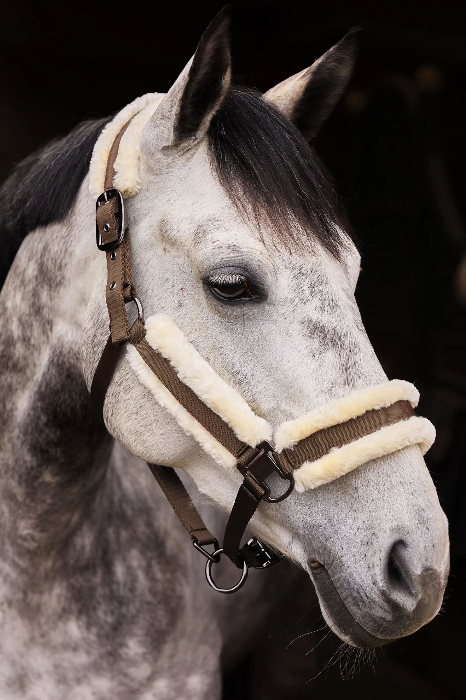 Horze Marquess Halfter mit Kunstfellfutter* Halfter