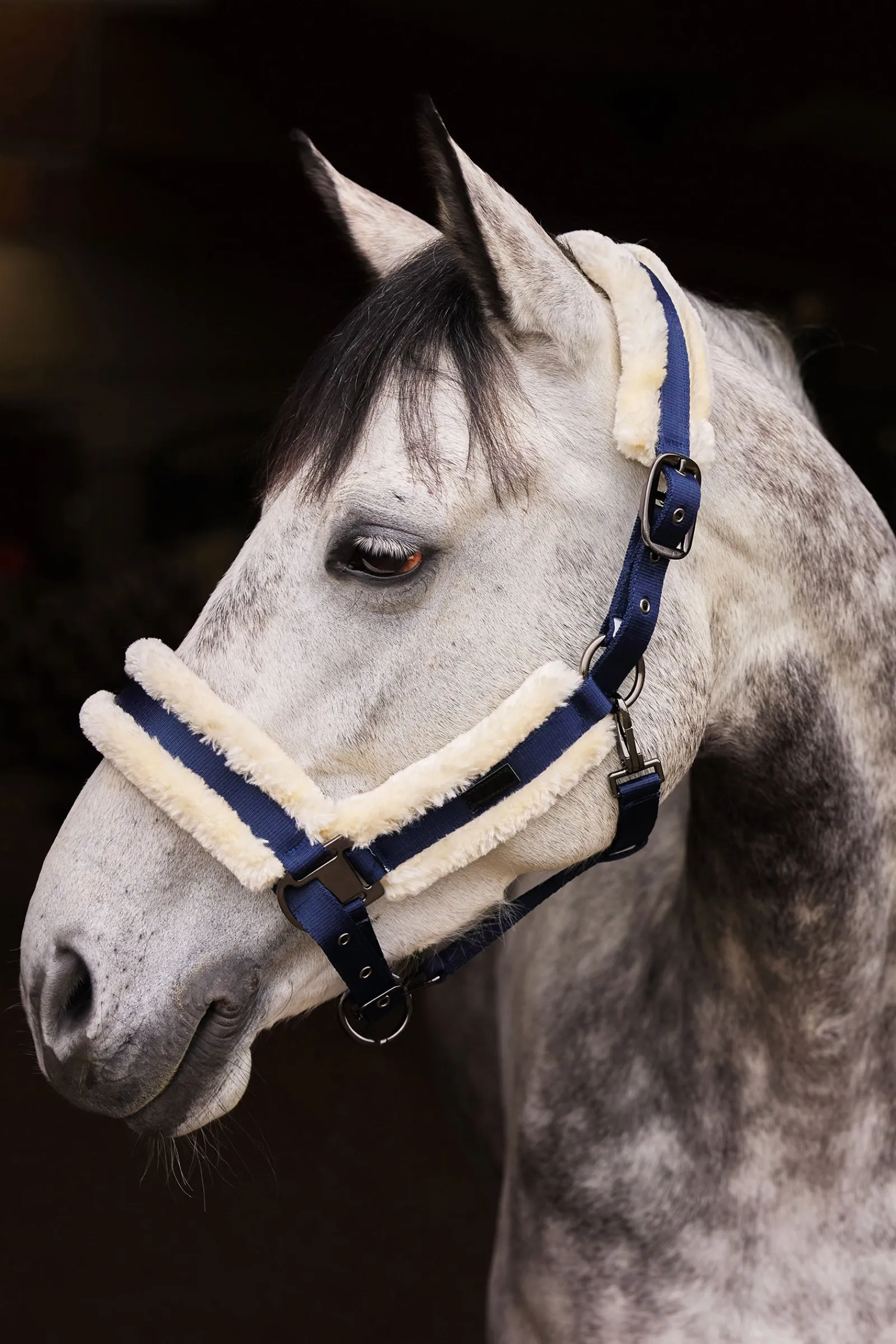 Horze Marquess Halfter mit Kunstfellfutter* Halfter
