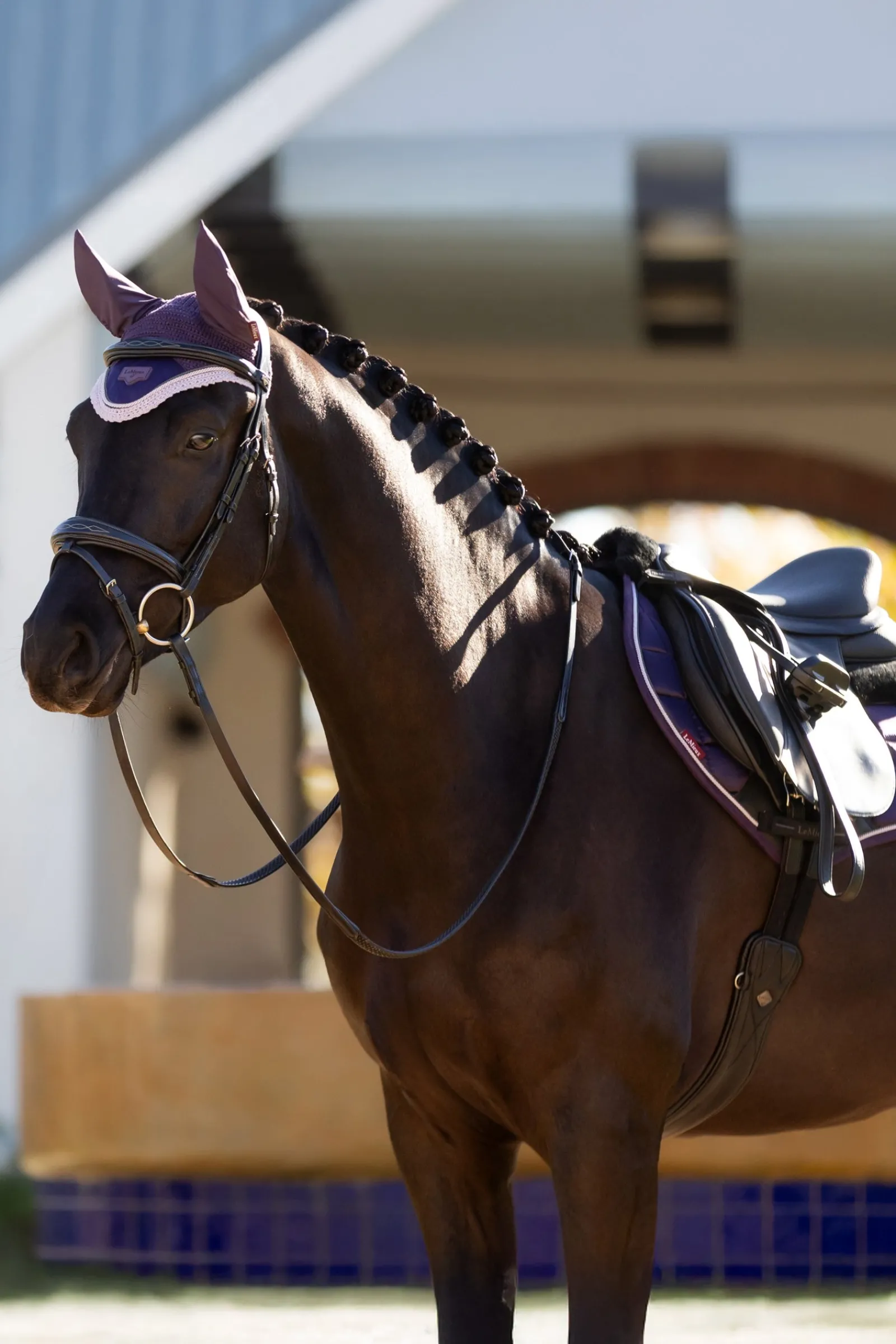LeMieux Merino+ Loire Classic Close Contact Satteldecke* Spring- & Vielseitigkeitsschabracken