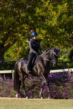 LeMieux Merino+ Loire Classic Close Contact Satteldecke* Spring- & Vielseitigkeitsschabracken