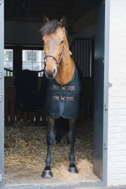 Kentucky Horsewear Mesh Fliegendecke* Fliegendecken