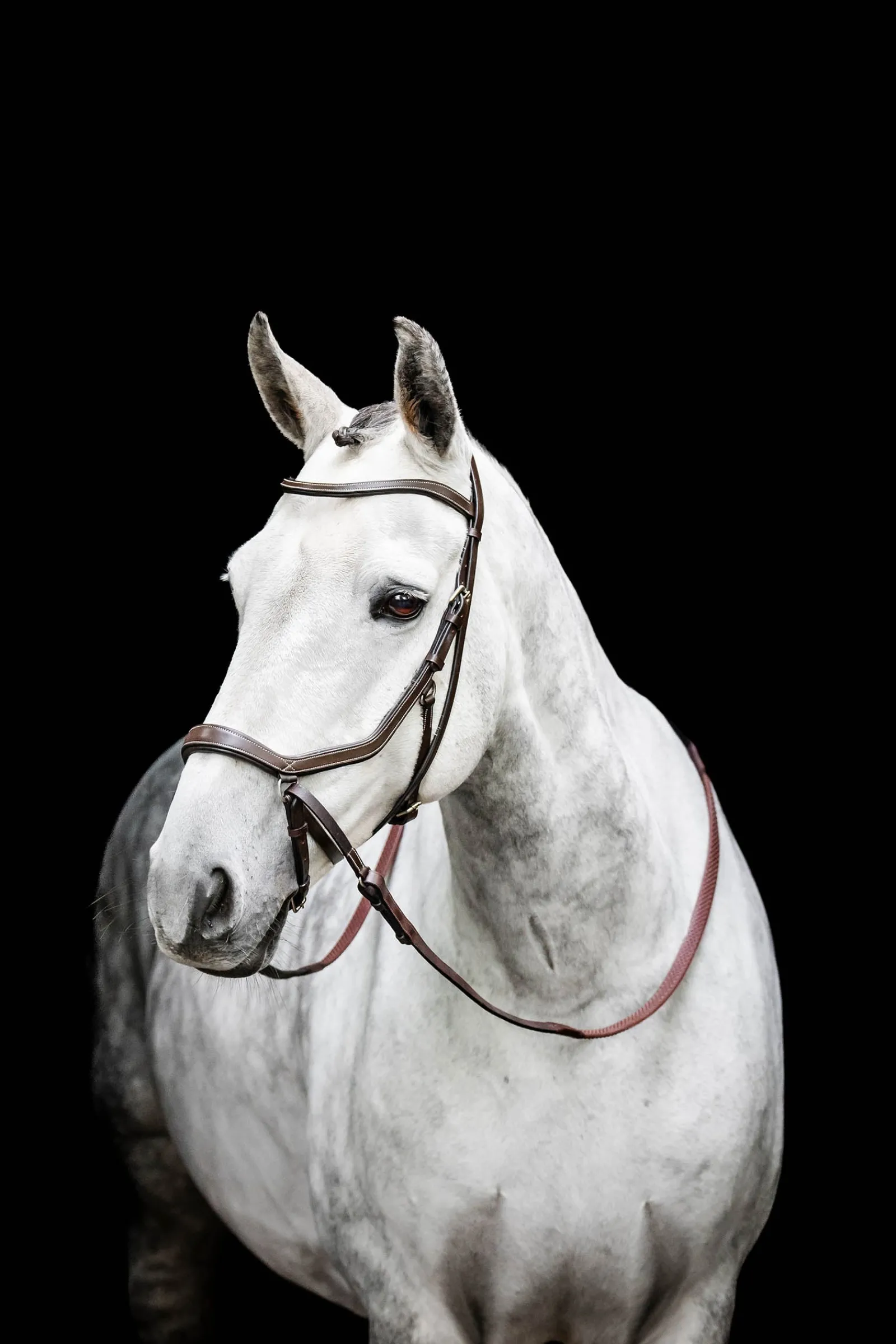 Horseware Micklem gebisslose Trense* Trensen & Nasenriemen
