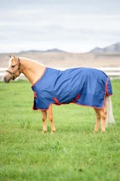 Horseware Mio Weidedecke, 200 g* Mittelschwere & Schwere Winterdecken