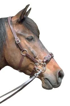 F.R.A. Freedom Riding Articles Miranti Hackamore (System 2)* Trensen & Nasenriemen